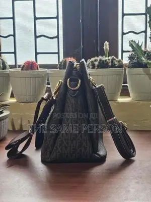 Lady Hand Bag