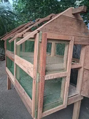 Chicken Cage