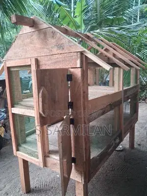 Chicken Cage