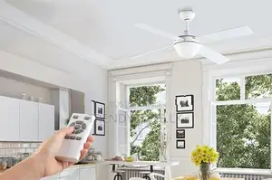 Kogan Ceiling Fan