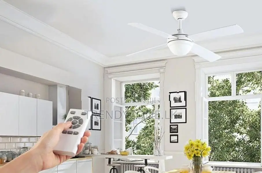 Kogan Ceiling Fan