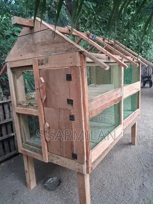 Chicken Cage