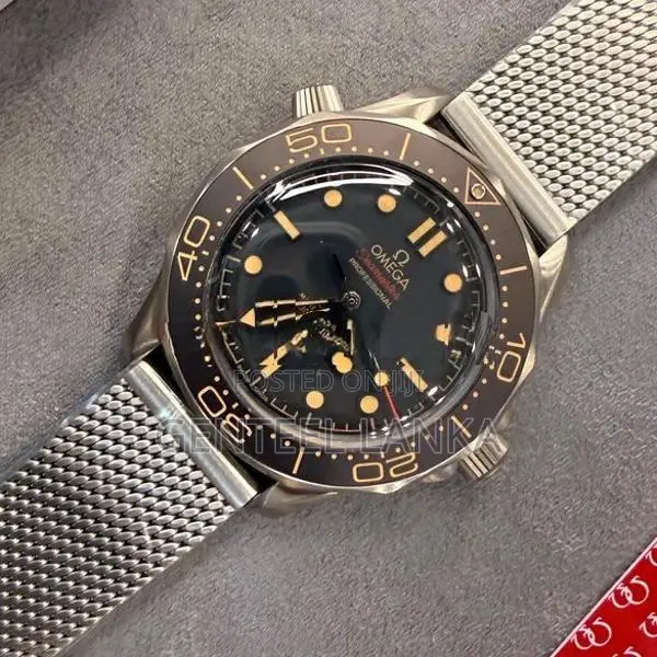 Omega Seamaster 300 Watch