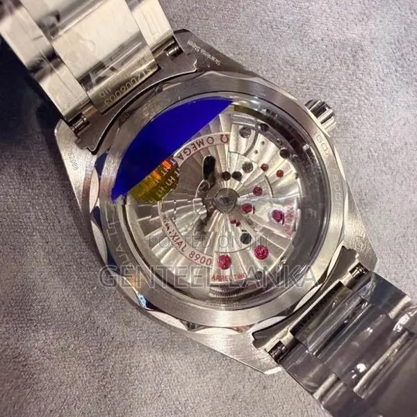 Omega Seamaster Aqua Terra Watch