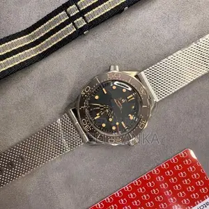 Omega Seamaster 300 Watch