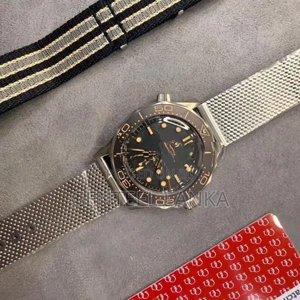 Omega Seamaster 300 Watch