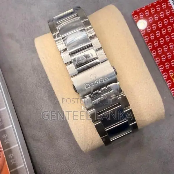 Omega Seamaster Aqua Terra Watch
