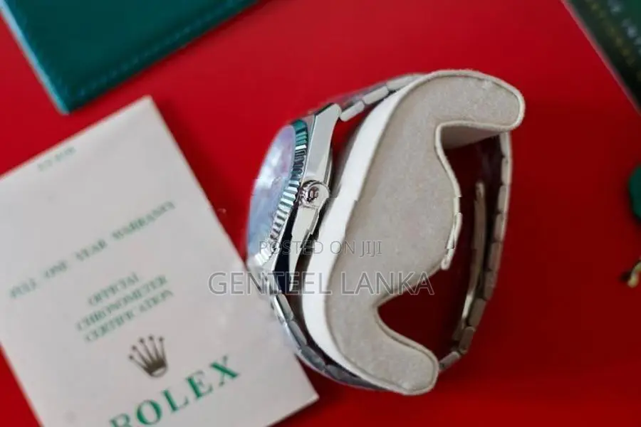 Rolex Land Dweller Watch