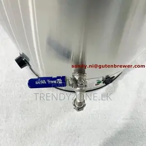 Industrial Electric Water Boiler 30L (Linkrich) High Quality