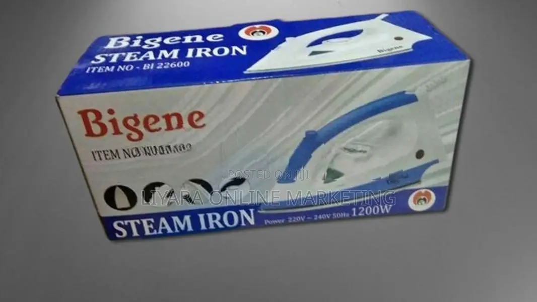 Bigene – Steam Iron