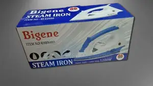 Bigene – Steam Iron