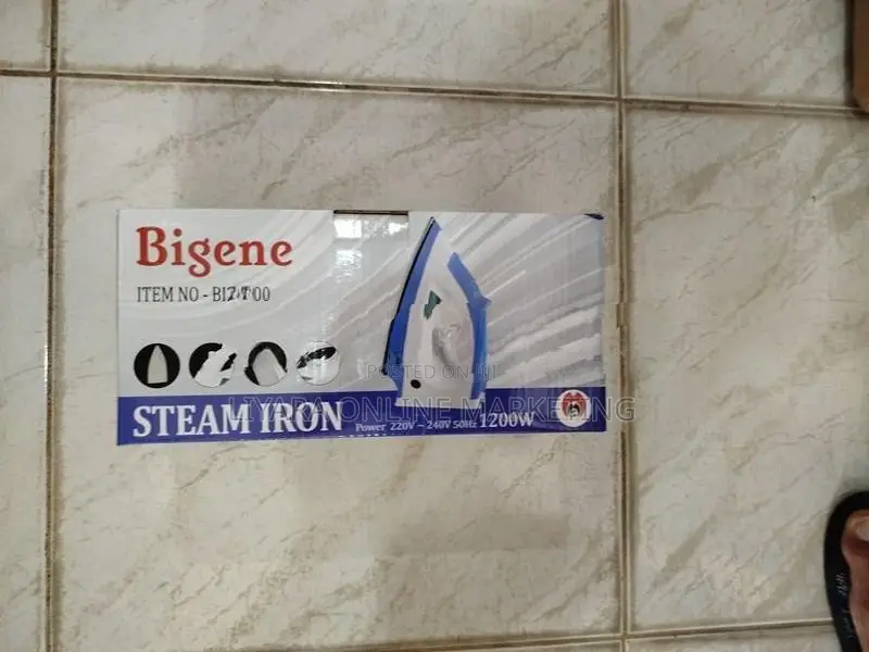 Bigene – Steam Iron