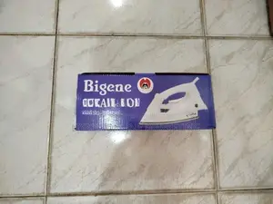 Bigene – Steam Iron