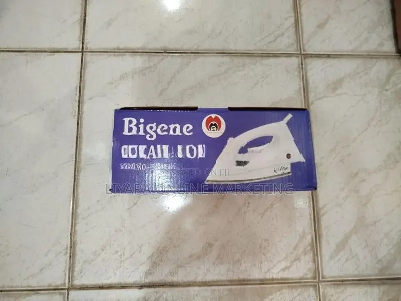 Bigene – Steam Iron