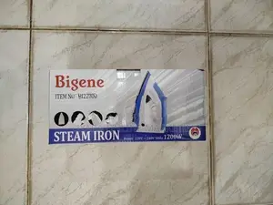 Bigene – Steam Iron