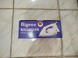 Bigene – Steam Iron