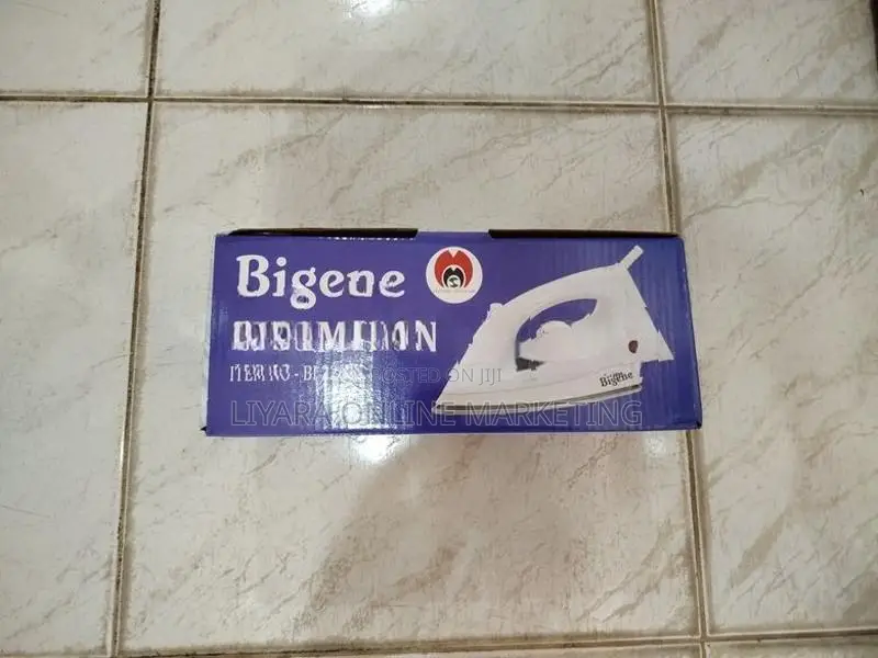 Bigene – Steam Iron