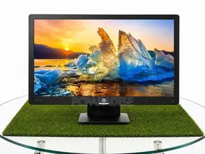HP 19" Widescreen Monitor