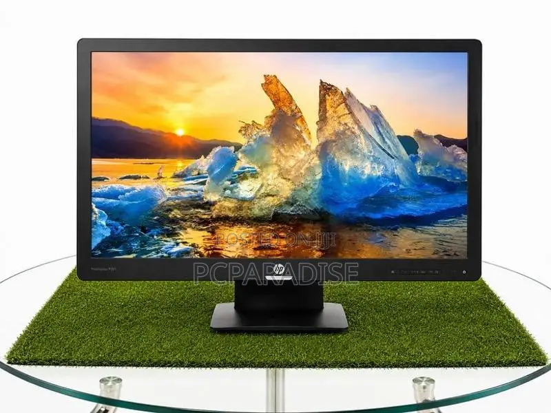 HP 19" Widescreen Monitor