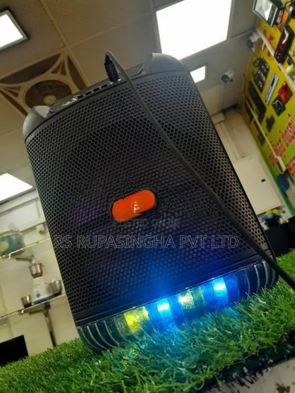 Portable Speaker