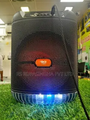 Portable Speaker