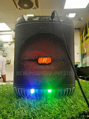 Portable Speaker