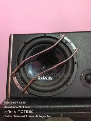 Gelong Subwoofer