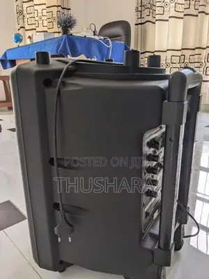 Olan 10 Inch Speaker System (with 2 Wireless Microphones)