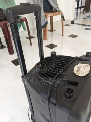 Olan 10 Inch Speaker System (with 2 Wireless Microphones)