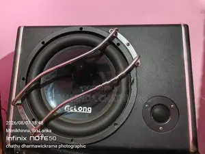 Gelong Subwoofer