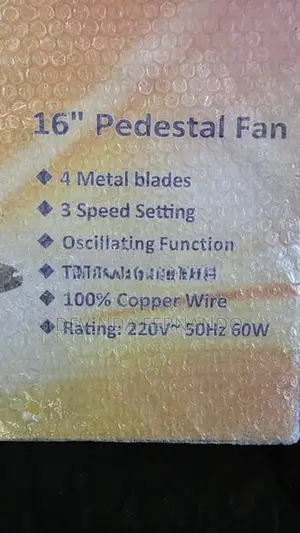 Pedestal Stand Fan
