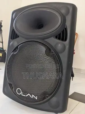 Olan 10 Inch Speaker System (with 2 Wireless Microphones)