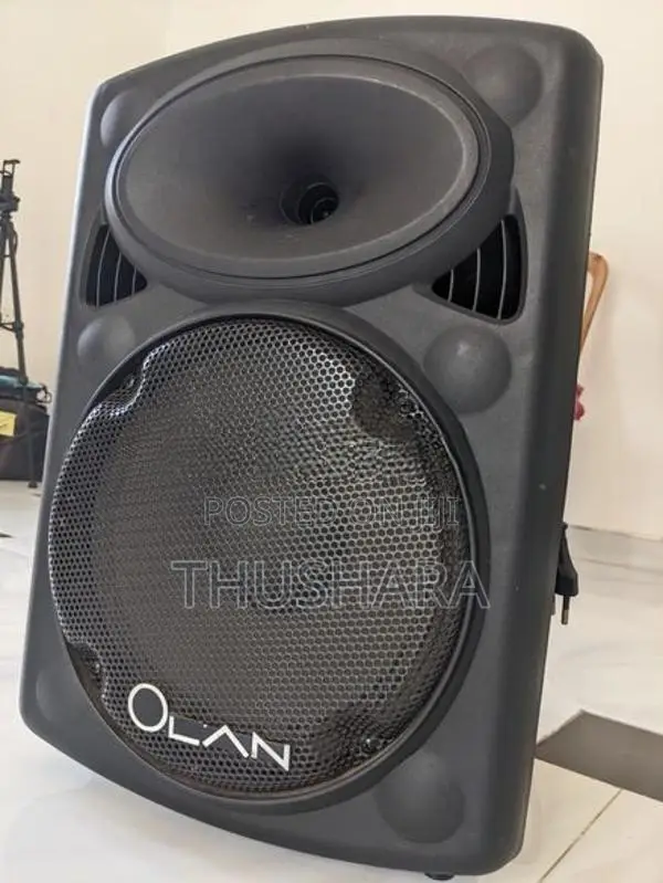 Olan 10 Inch Speaker System (with 2 Wireless Microphones)