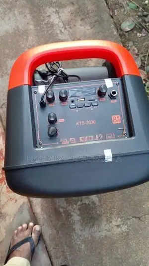 KBroad KTS-2036 Portable FM Radio Speaker