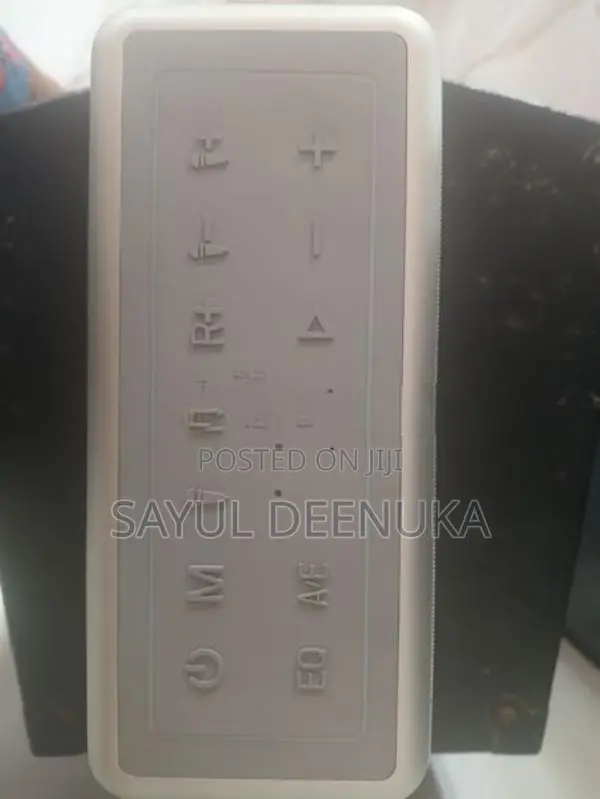 Karaoke Speaker
