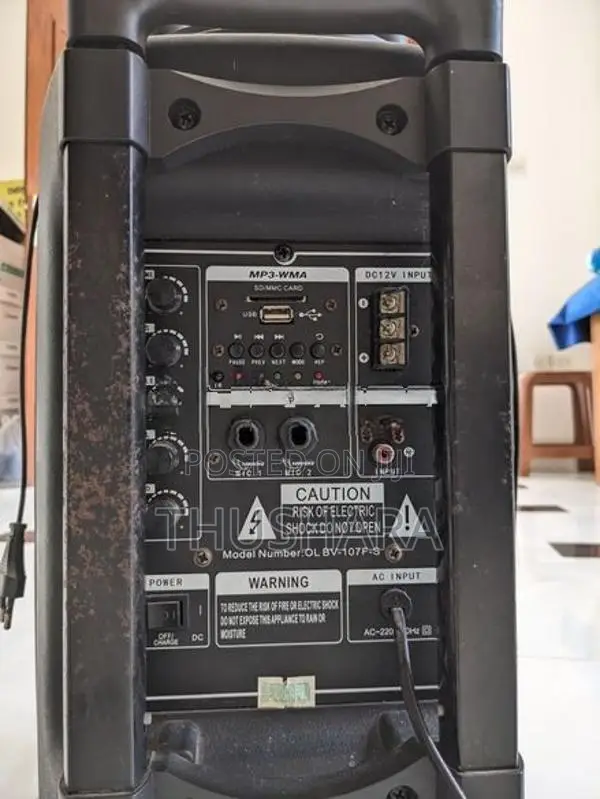 Olan 10 Inch Speaker System (with 2 Wireless Microphones)