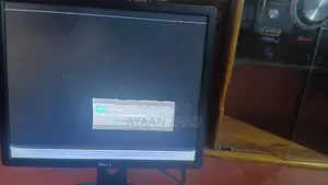 Dell Monitor