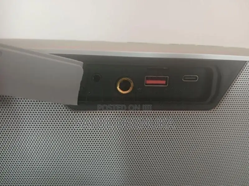 Karaoke Speaker