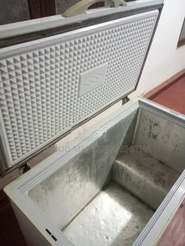 Singer Freezer