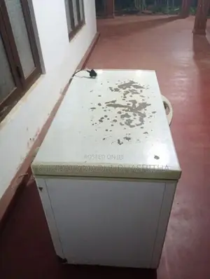 Singer Freezer