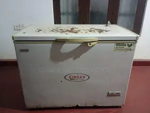 Singer Freezer
