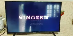 Singer