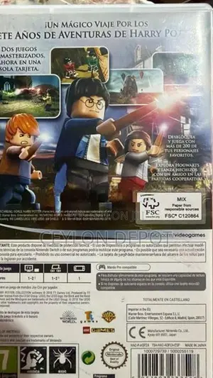 Nintendo Harry Potter Game