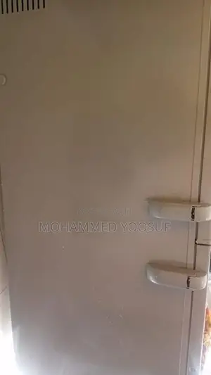 Singer Deep Freezer
