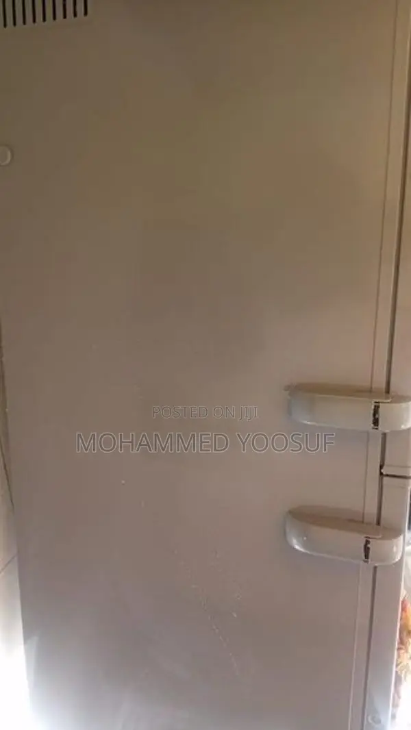 Singer Deep Freezer