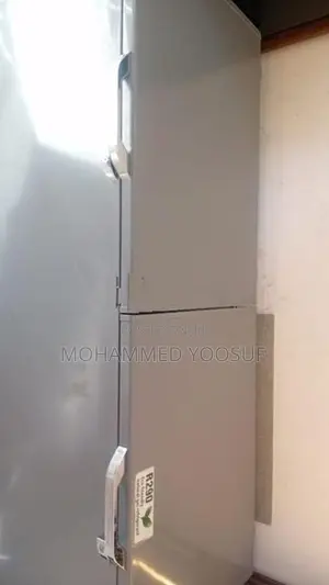 Singer Deep Freezer