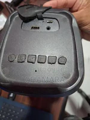 Singer Bluetooth Speaker BS30