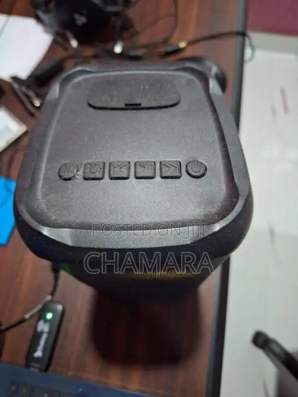 Singer Bluetooth Speaker BS30