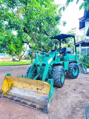 Mitsubishi WS300 2015 Heavy-Duty (Used)