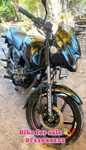 Bajaj Pulsar 2019 Motorbike (Used)